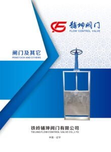 閘門及其它樣本首頁(yè)